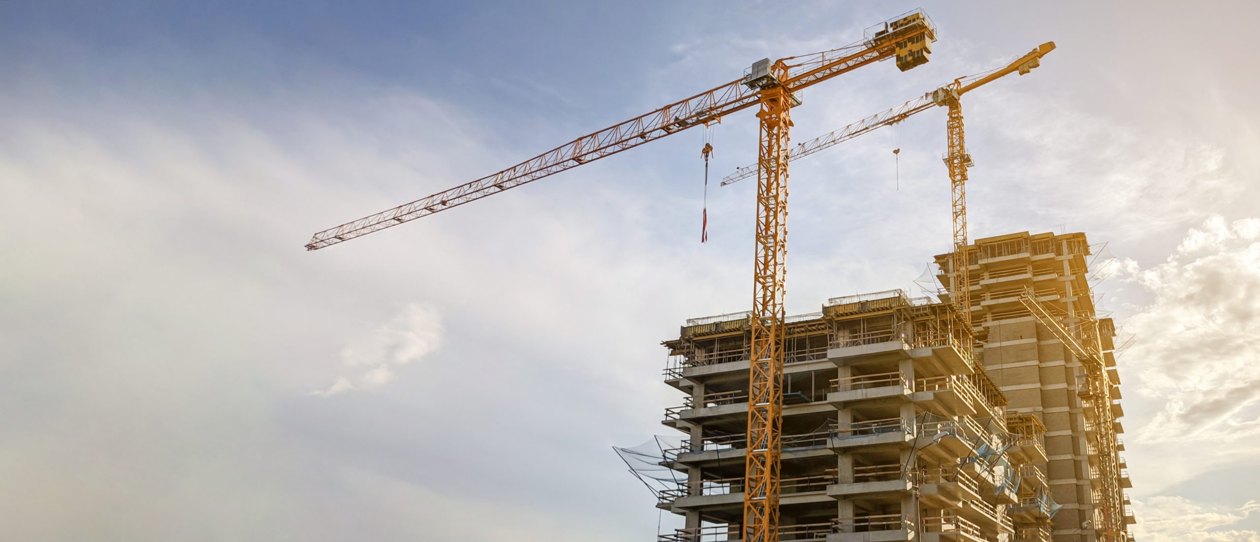 התחלה: הגדרת צרכים ובחירת פרויקט